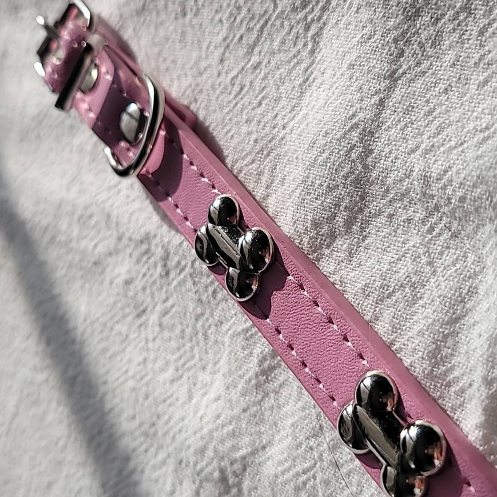 MEDIUM DOG Bone Decor Pet Collar